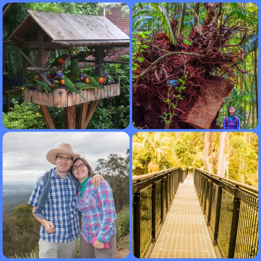 impressions from the Tamborine Mountain